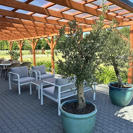 בית אירוח Pokoje Goscinne Kameralnie, Basen Z Podgrzewana Woda, Sniadania W Cenie *